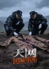 天网:旧案寻凶