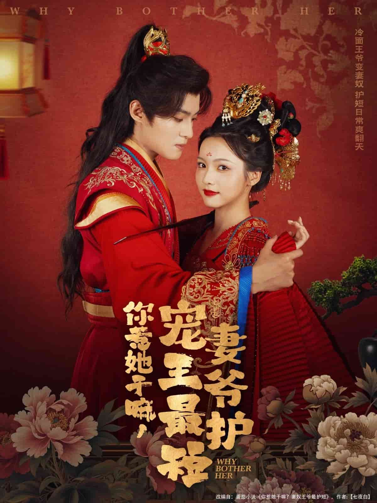 你惹她干嘛,宠妻王爷最护短