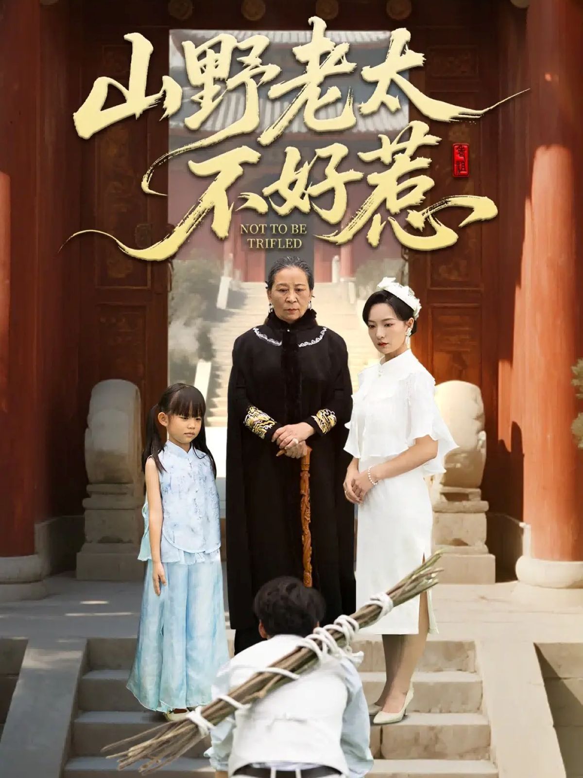 山野老太不好惹(奶奶一脚震全城)