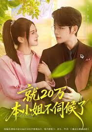就20万!本小姐不伺候了