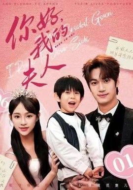 顾总,我才是你的夫人(你好,我的夫人)